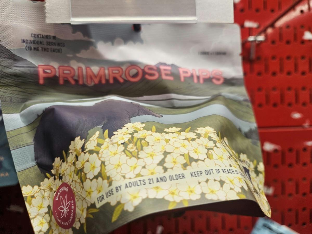 Primrose Pips