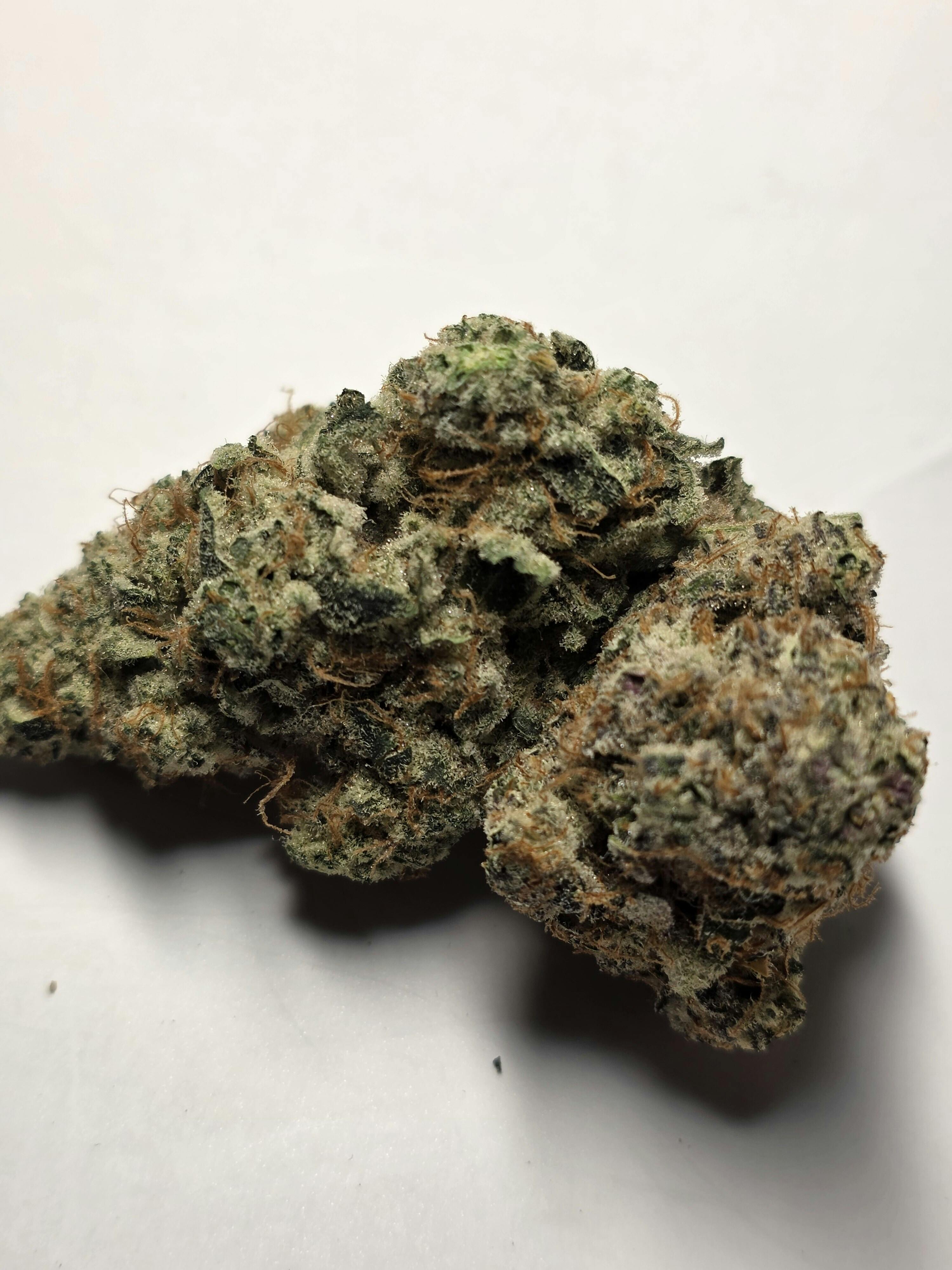 Gelatamo at Midwest Dispensary