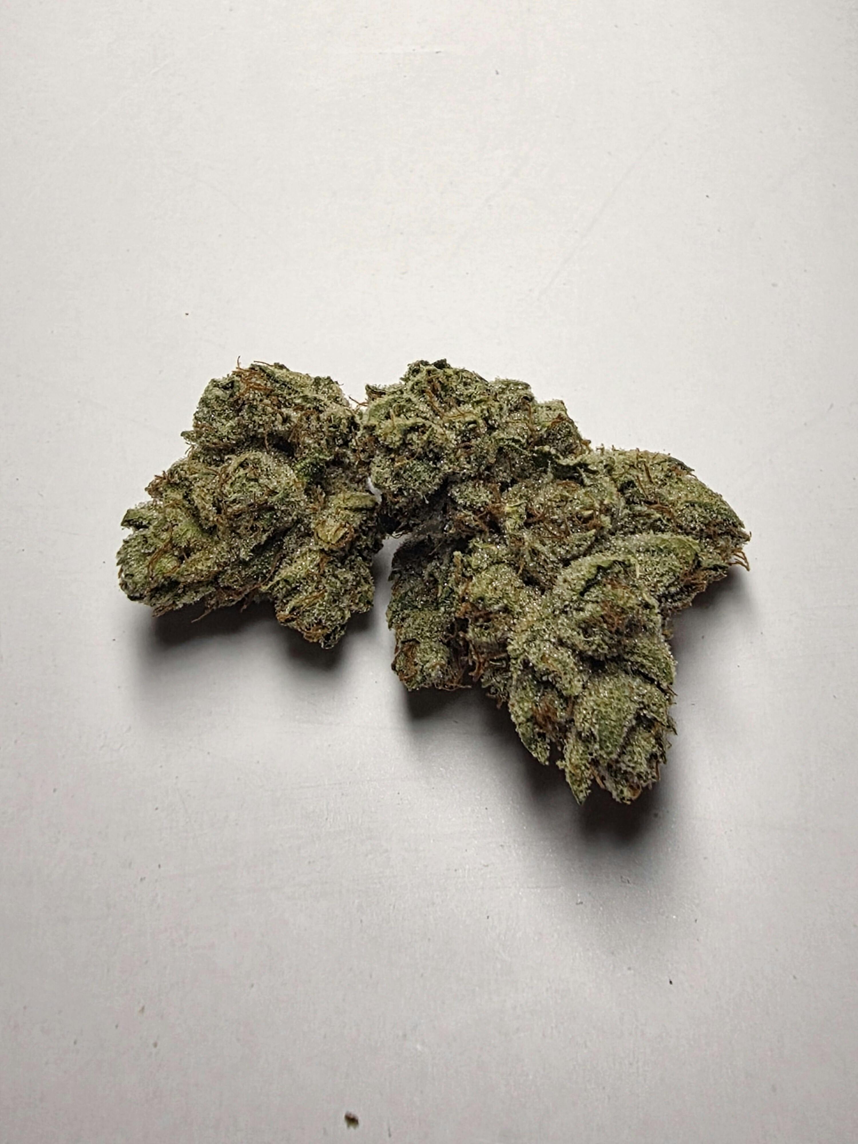 Oklahoma Outlawz | Malibu Pure Kush | Big Buds | 3.5g at Midwest Dispensary