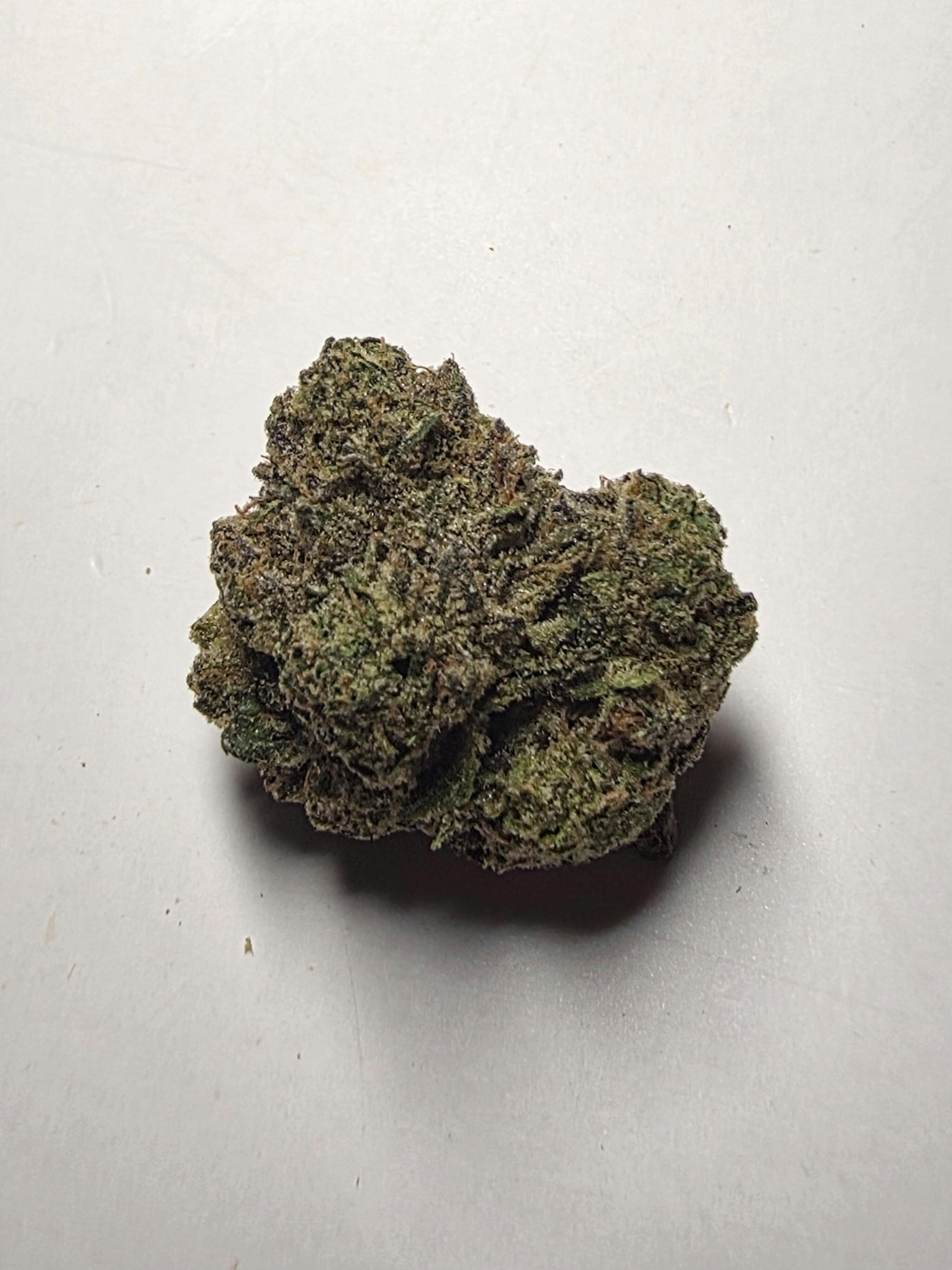 Blvd Boy at Midwest Dispensary