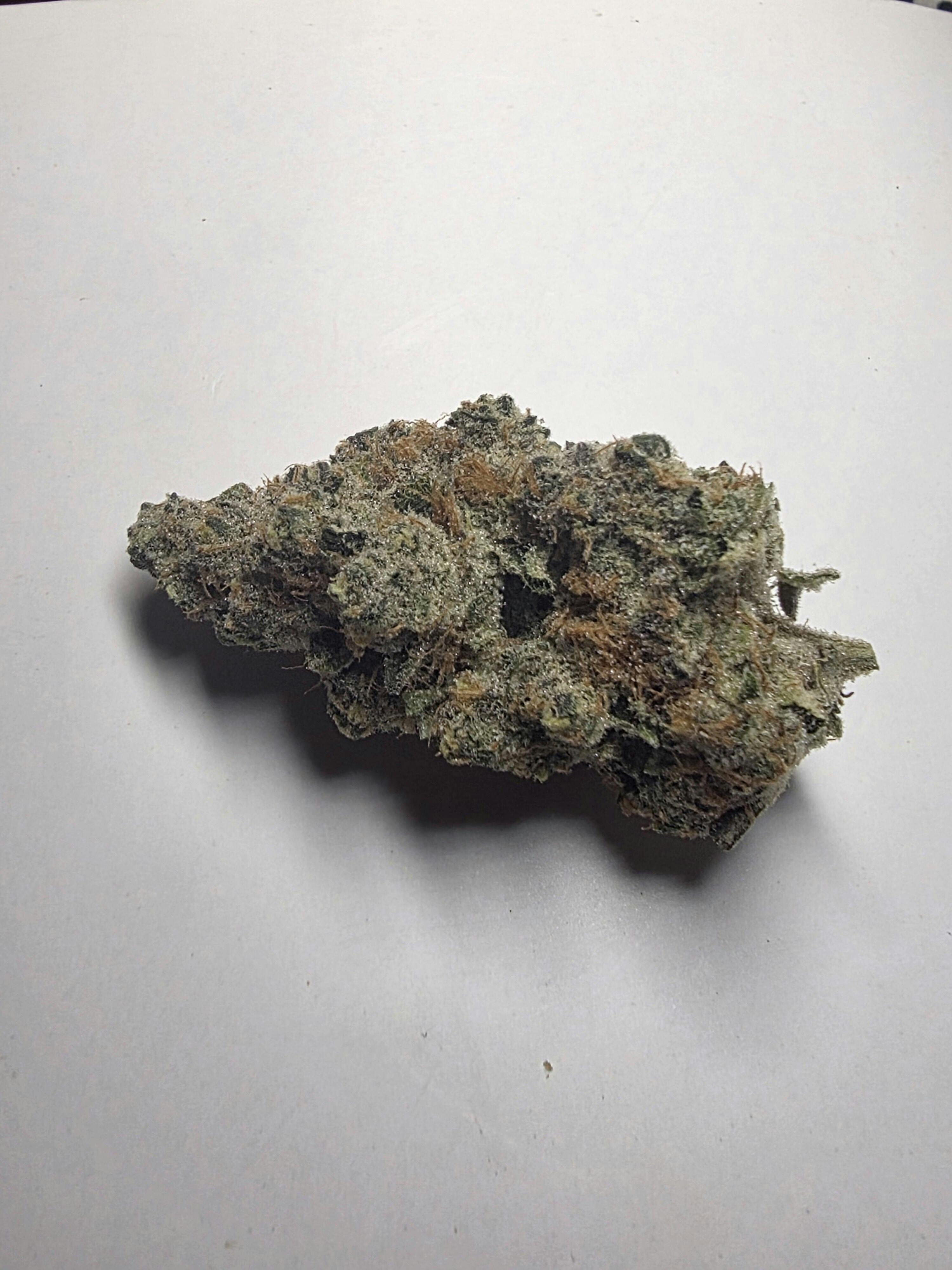 Gold Cash Gold at Midwest Dispensary