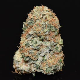 GMO Sunset By LBS