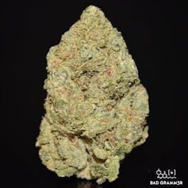 Road Kill Skunk By Pagan Enterprises