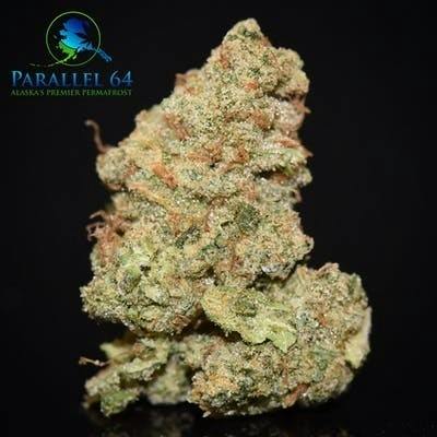Buddha (*Deli Style Only) By Parallel 64