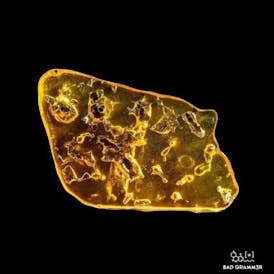 Godfather OG Shatter By Denali Fire Extracts