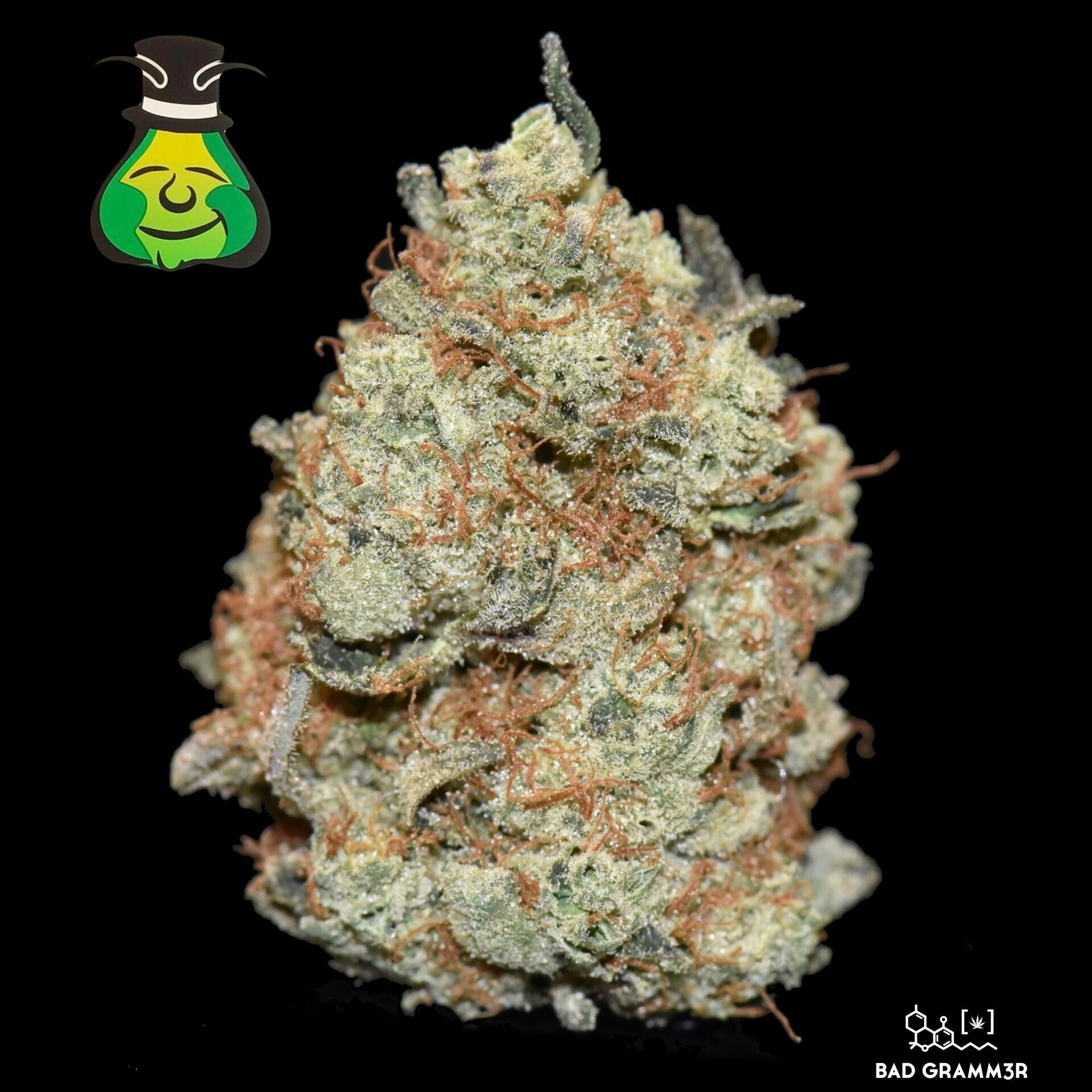 Juicee Jay (*Deli Style Only) By Absolem's Garden