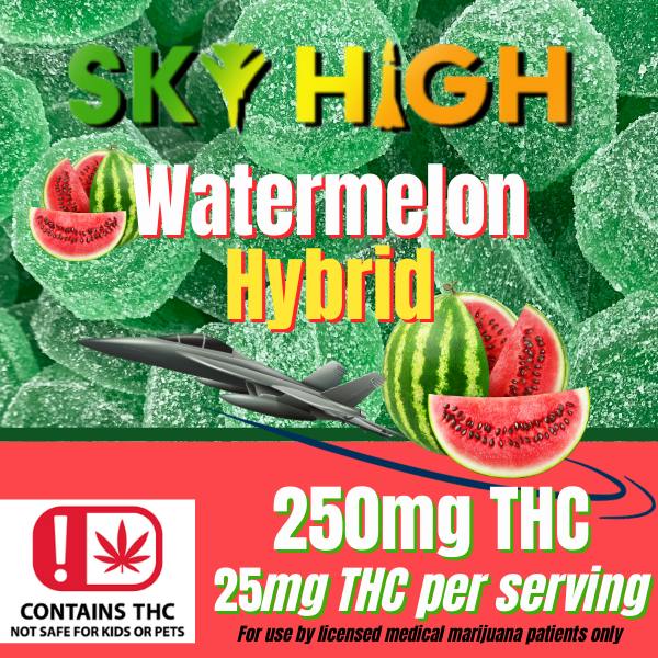 Sky High- 'Watermelon' 250mg Hybrid Gummies (10pk)