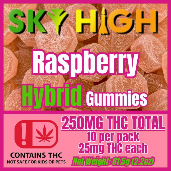 Sky High - "Raspberry" Hybrid Gummies 250mg (10pk)