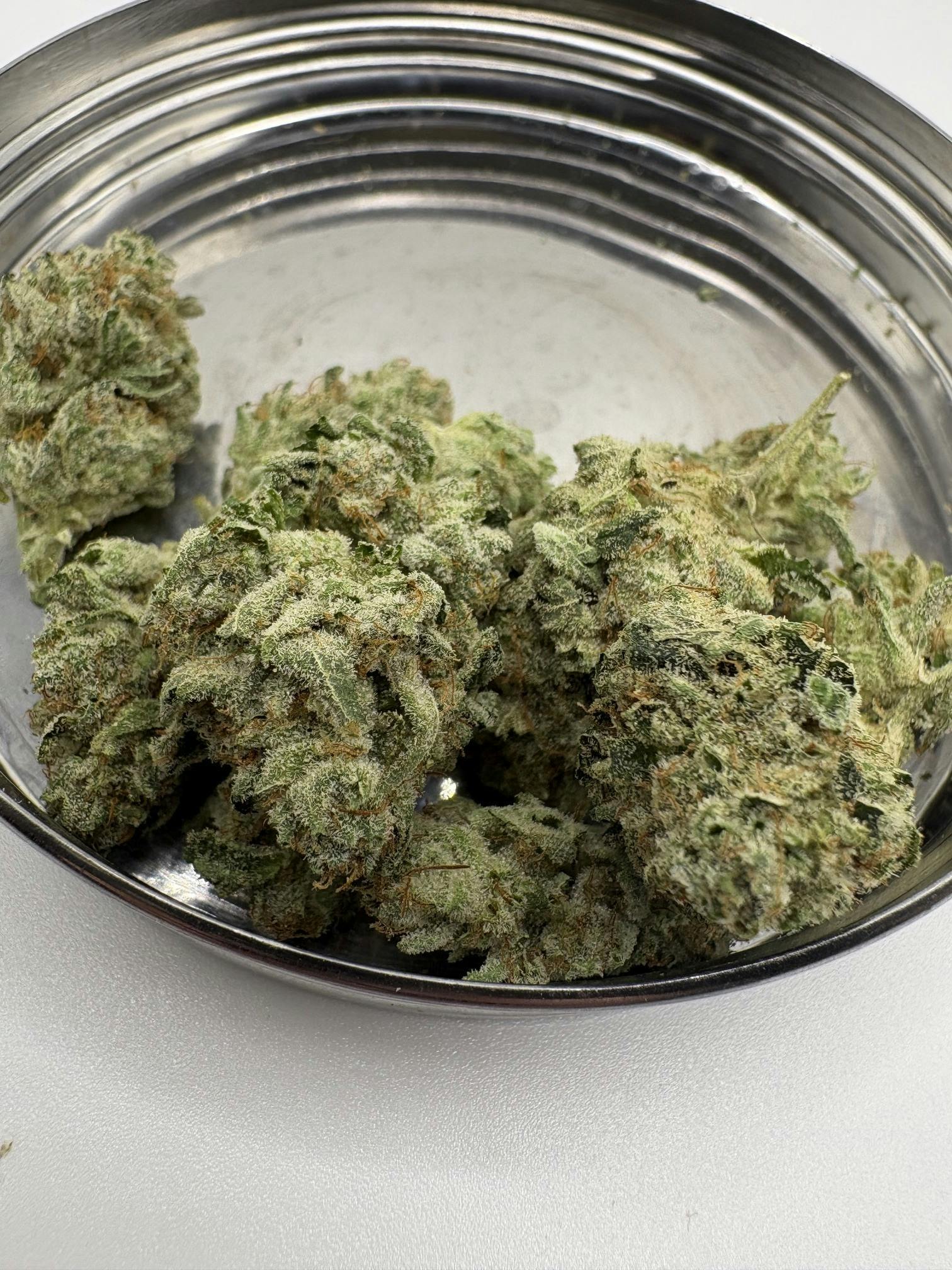 "GG4"