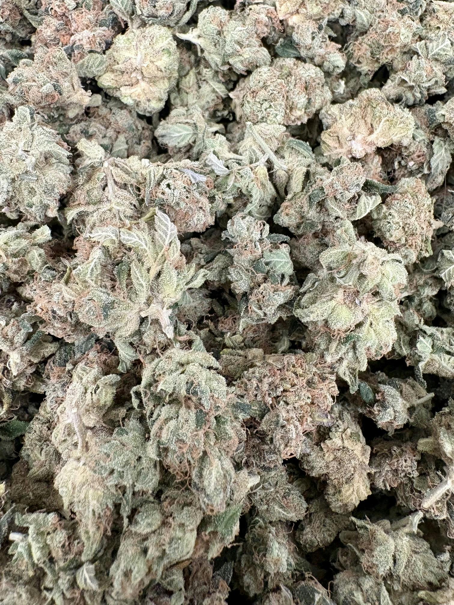 "Sour Dill"