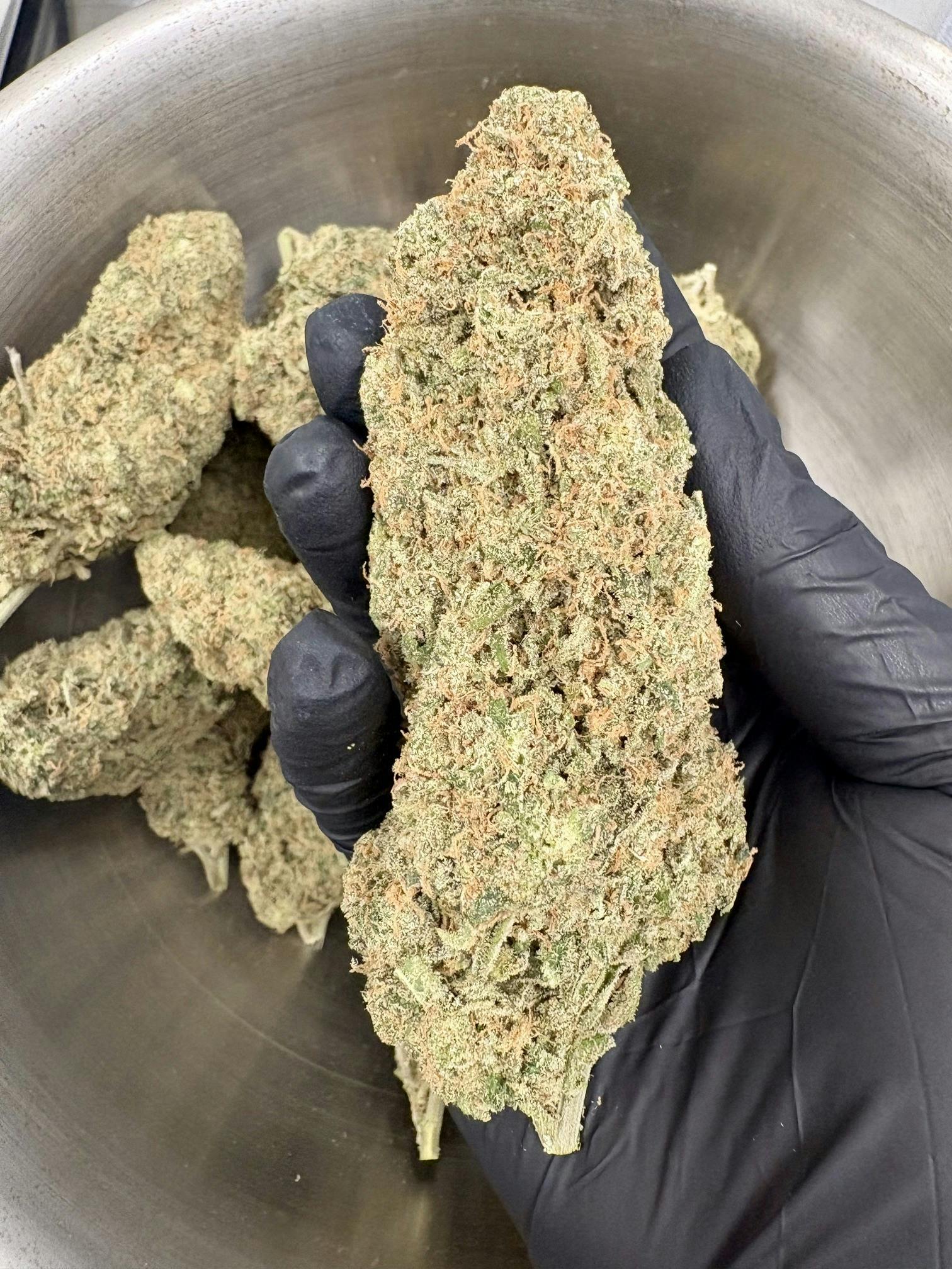 "Skunk"