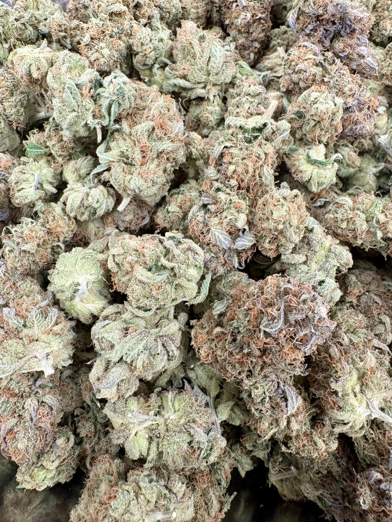 "Sunny G"