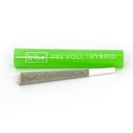 Tribe - Pre Roll - Hybrid - F%ck Gary - 1g