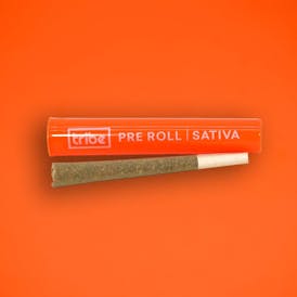 Tribe - Pre Roll - Sativa - Pineapple Sunday - 1g