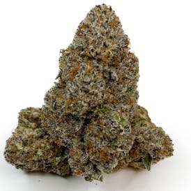 Okie Cultivator - Popscotti -3.5g Jars (TAX INCLUDED)