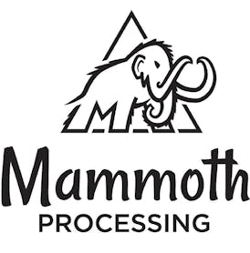 Elixir-Mammoth Processing-30mL Tincture