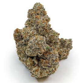 Cookie Burger - Happy Cultivators (TAX INCLUDED)