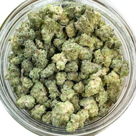 Lemon Cherry Gelato - Smalls (TAX INCLUDED)