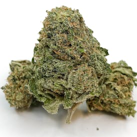 Docta Clean (TAX INCLUDED)