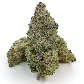 Dream Queen (TAX INCLUDED)