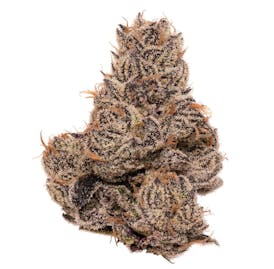 Lemon Cherry Sherbert- O.K.C