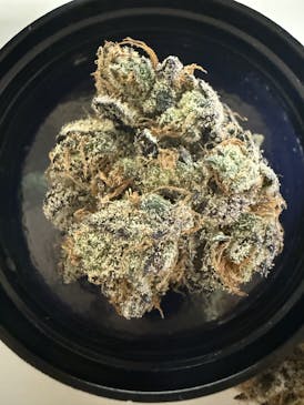 Gorilla Nut - Humble Ground (TAX INCLUDED)