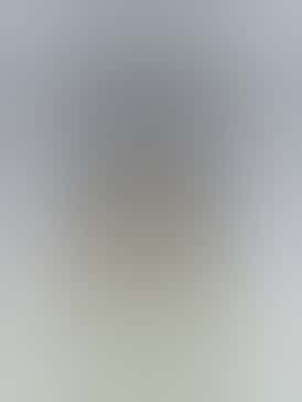 Ashlock's Farm - Pre Roll - Hybrid - Bullshit - 1g