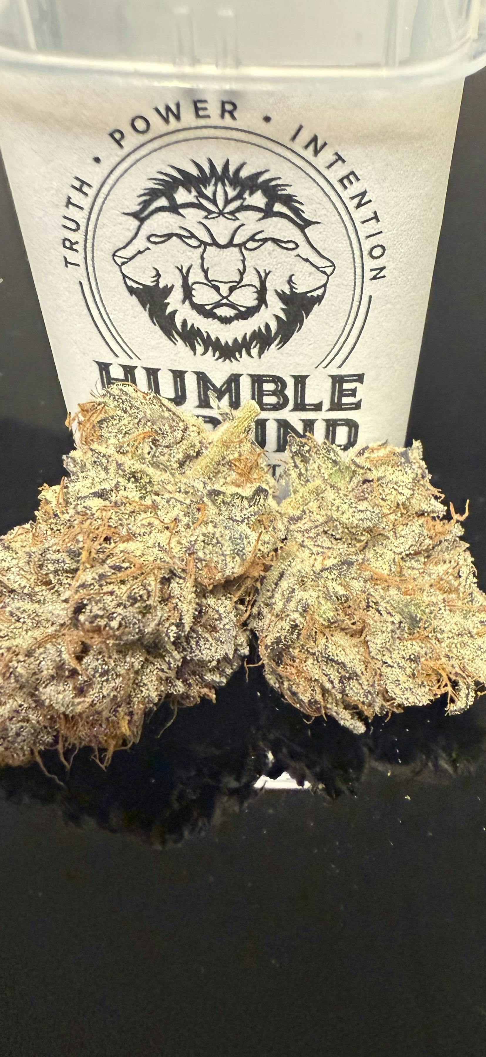 Humble Ground - Indoor Pre-Packaged Flower [3.5g] - Gorilla Nut