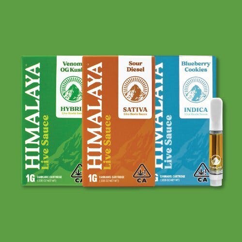 Himalaya — Lemon Cherry Gelato