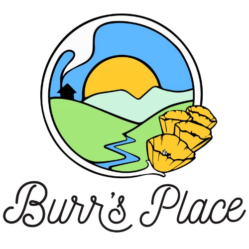 Burr's Place — • • Macaroon • $20 • Sale $18*tax Included