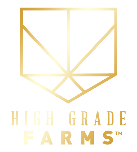High Grade Farms: • • Cherry Gelato • $28•sale Bogo $1 *tax Included