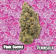 Pink Sourz | Big Buds | 1g by Peninsula Gardens