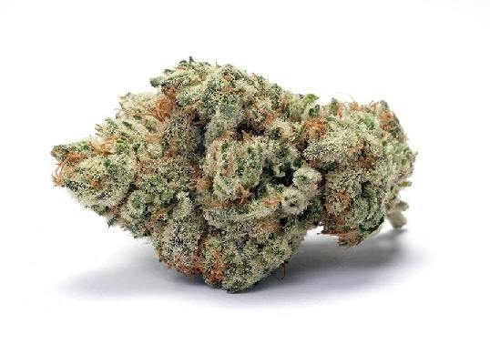 Blueberry Pancakes | Big Buds | 3.5g