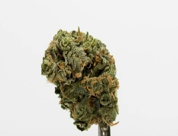 Cadillac OG #12
