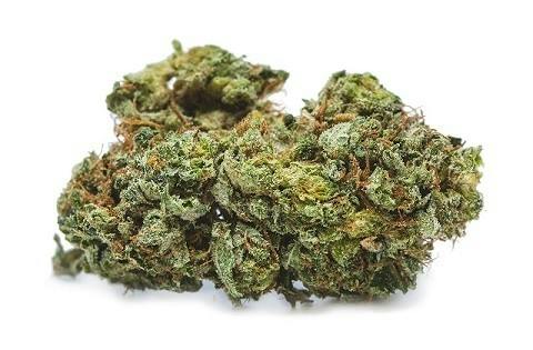 Ice Cream Animal Mints | 3.5g