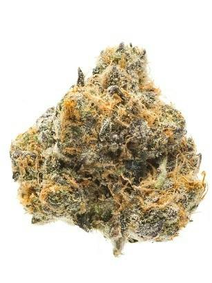Blueberry Headband