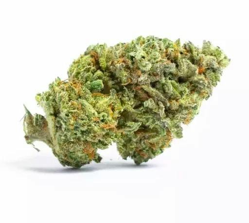 Blueberry Cupcake | 3.5g