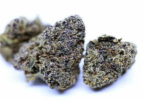 Black Cherry Gelato