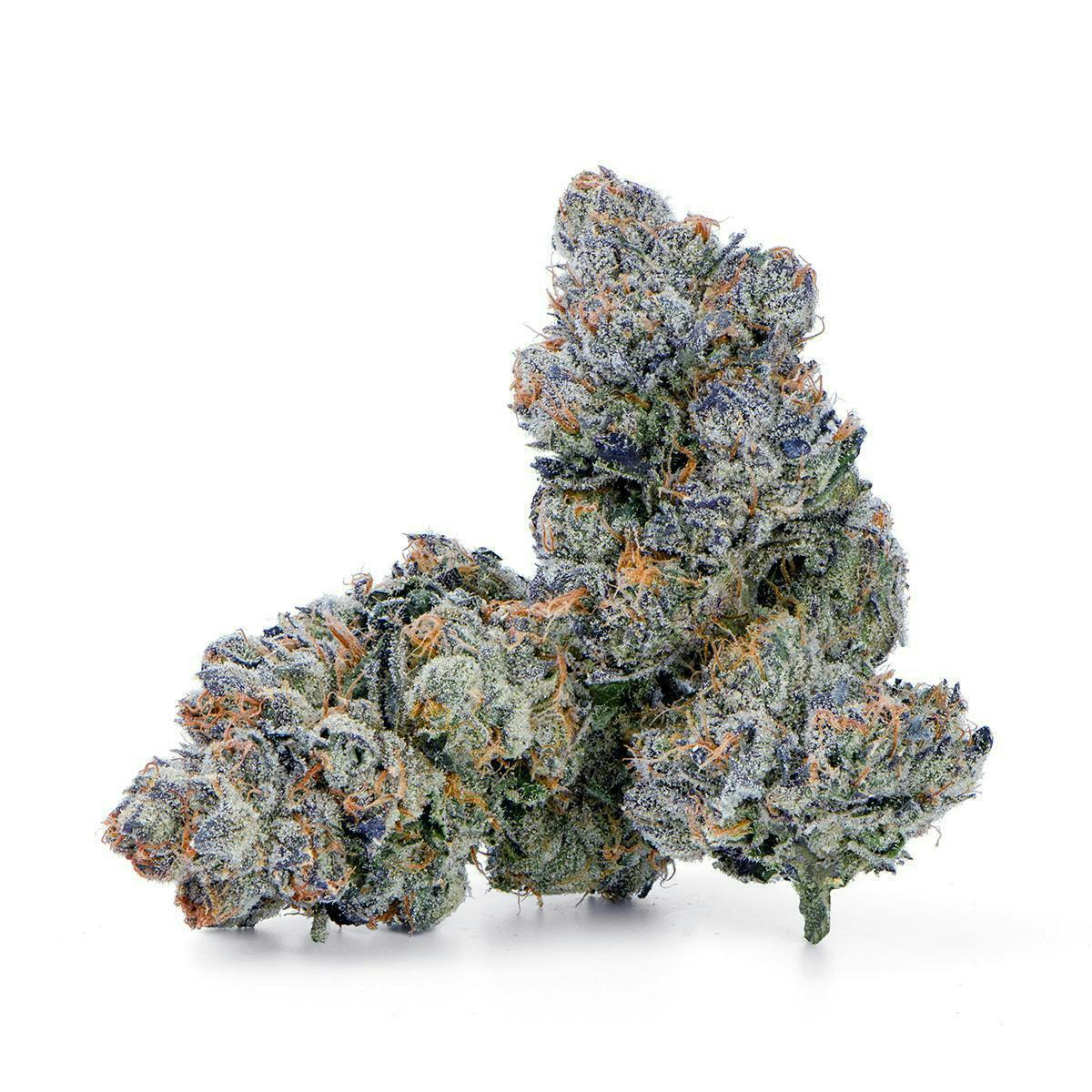 (H) Blue Nerdz