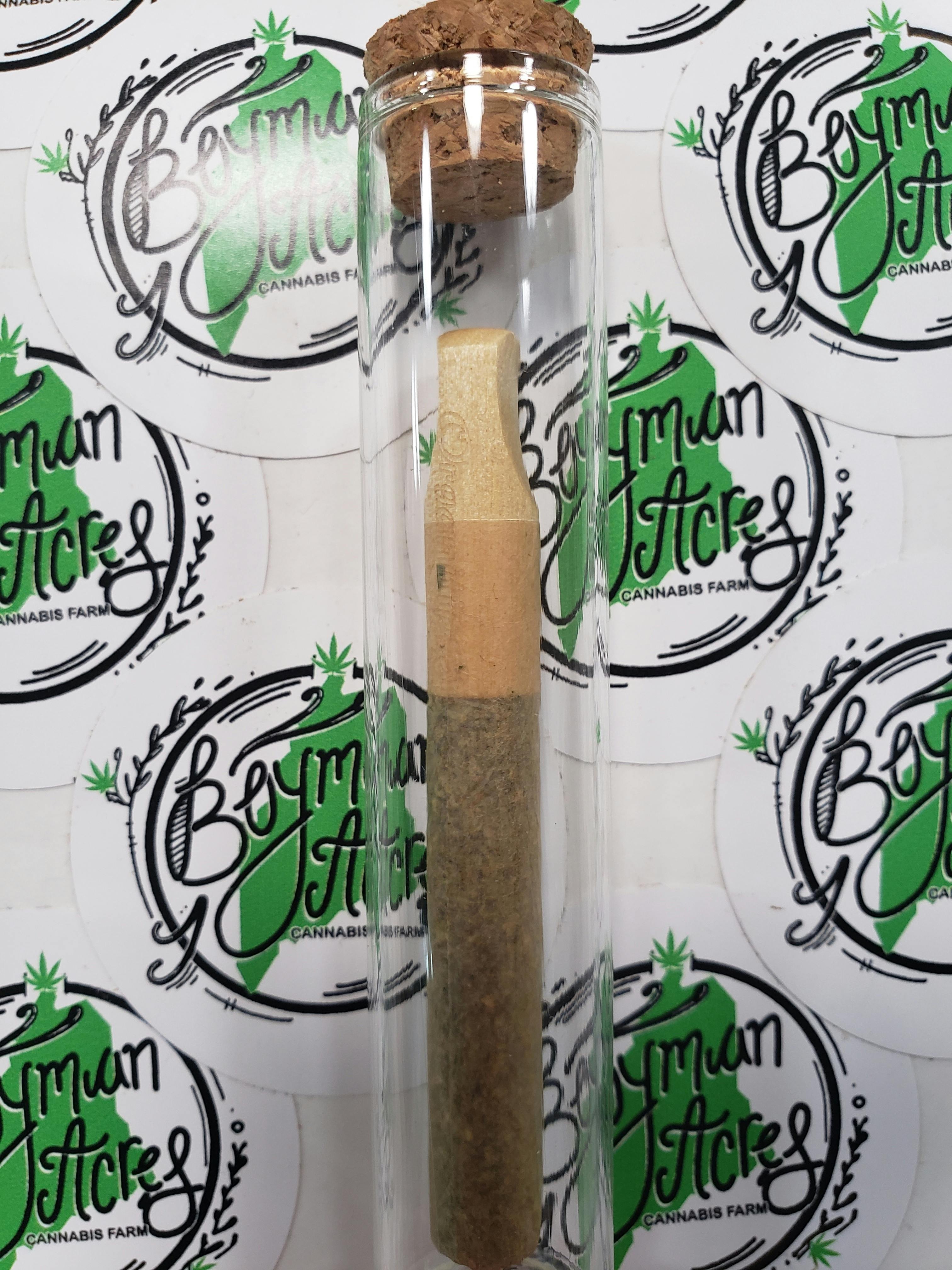 Mini Donut Rolls (Assorted Strains)