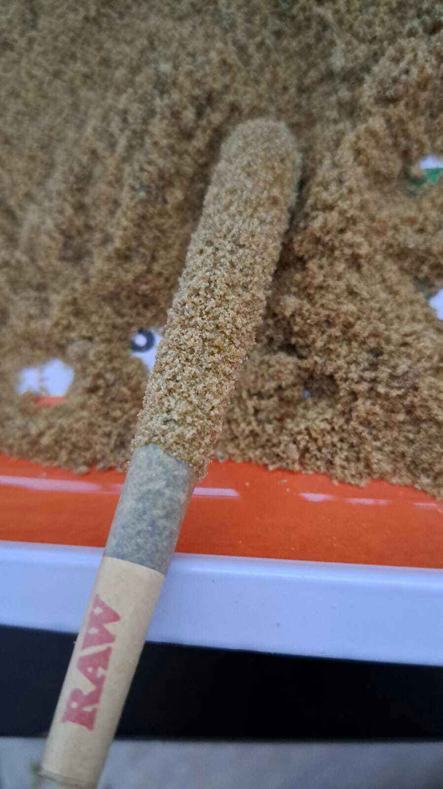 Moon Sticks at Boyman Acres Cannabis Farm and Medical Marijuana