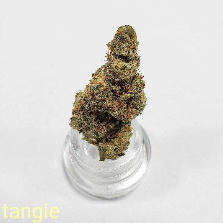 Tangieland