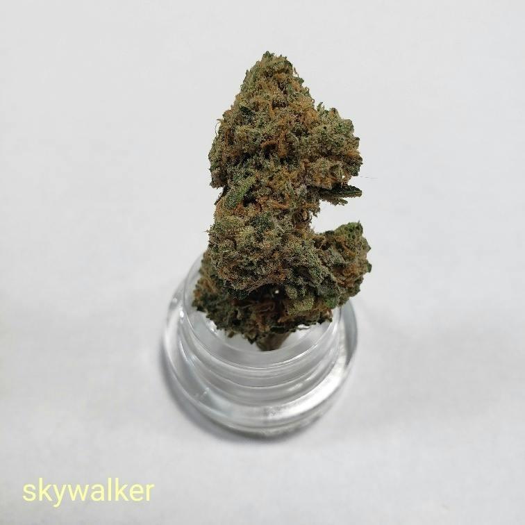 Skywalker OG