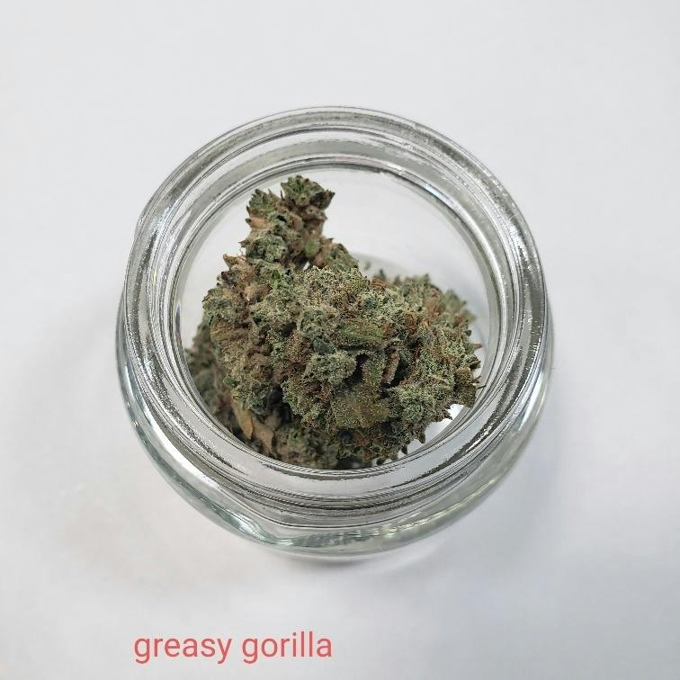 Greasy Gorilla