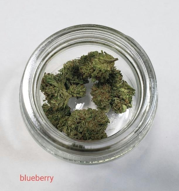 Blueberry
