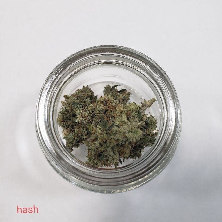 Hash Burger at Boyman Acres Cannabis Farm and Medical Marijuana