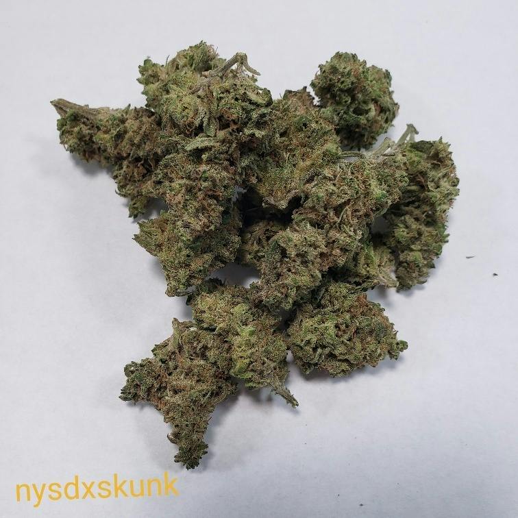 New York Sour Diesel x Skunk