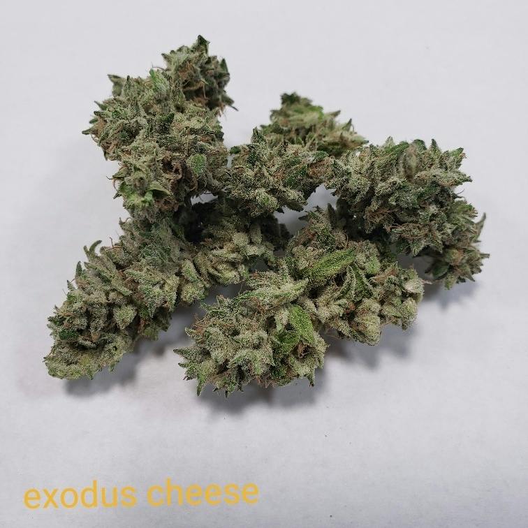 Exodus Cheese