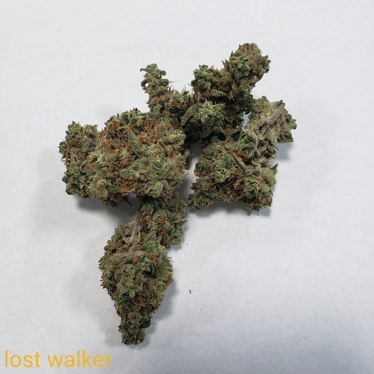 Lost Walker