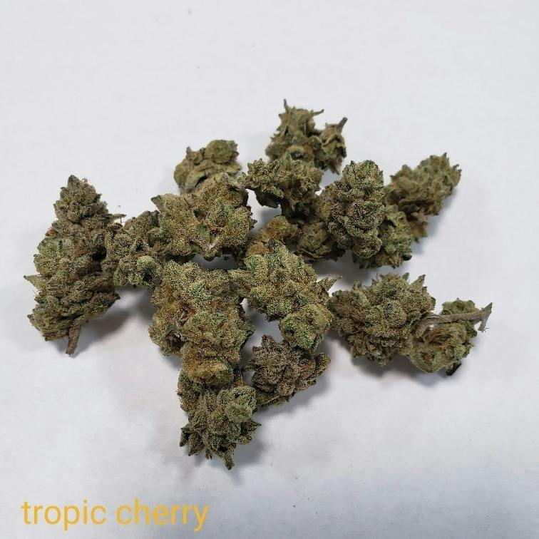 Tropic Cherry Truffle